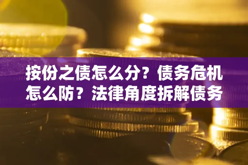 北京按份之债怎么分？债务危机怎么防？法律角度拆解债务分配与风险自保指南
