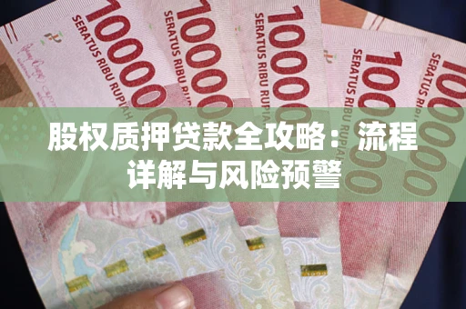 北京股权质押贷款全攻略：流程详解与风险预警