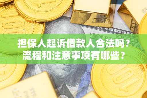 北京担保人起诉借款人合法吗？流程和注意事项有哪些？