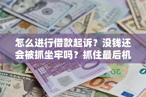 北京怎么进行借款起诉？没钱还会被抓坐牢吗？抓住最后机会！