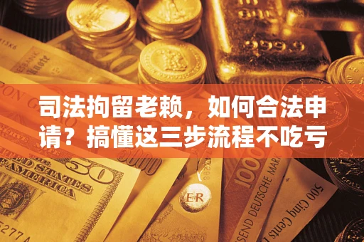 北京司法拘留老赖，如何合法申请？搞懂这三步流程不吃亏！