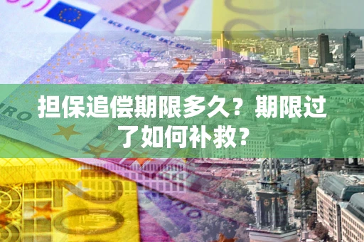 北京担保追偿期限多久？期限过了如何补救？