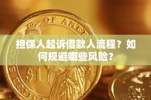 北京担保人起诉借款人流程？如何规避哪些风险？